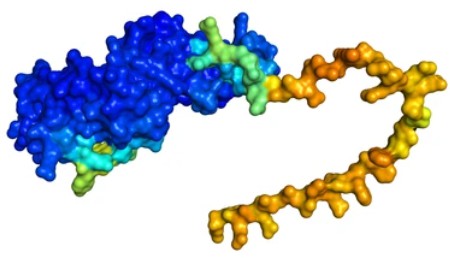 Enzyme Activity Measurement for Oxidoreductases Acting on CH-CH Groups With an Iron-Sulfur Protein as Acceptor